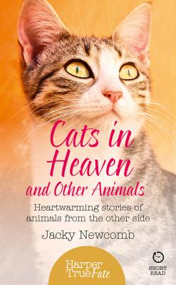 Cats in Heaven: And Other Animals. Heartwarming stories of animals from the other side. (HarperTrue Fate A Short Read) [Paperback] Newcomb, Jacky