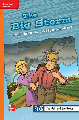 Reading Wonders Leveled Reader the Big Storm: Approaching Unit 6 Week 2 Grade 3
