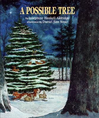 Image for A Possible Tree