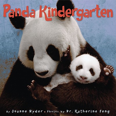 Image for Panda Kindergarten Panda Kindergarten