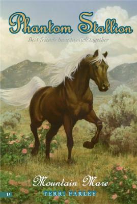 Mountain Mare (Phantom Stallion #17)