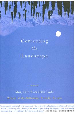 Correcting the Landscape