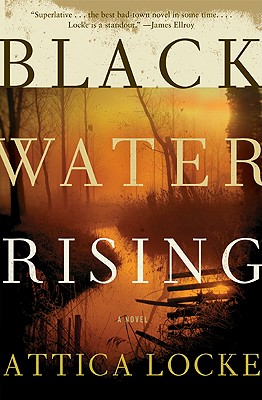 Image for Black Water Rising A Novel