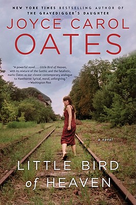 Little Bird Of Heaven: A Novel
