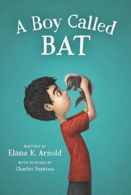 Image for Boy Called Bat, A