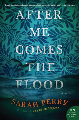Image for After Me Comes the Flood: A Novel