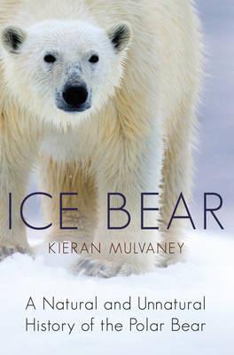Ice Bear: A Natural and Unnatural History of the Polar Bear. Kieran Mulvaney