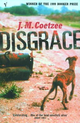 Image for Disgrace
