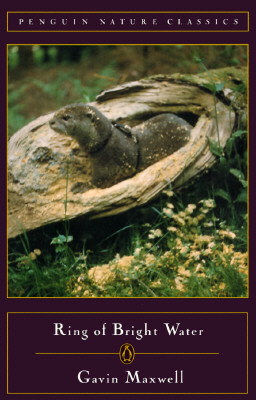 Ring of Bright Water (Classic, Nature, Penguin)