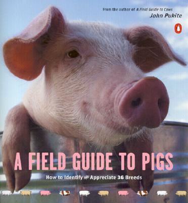 Image for A Field Guide to Pigs