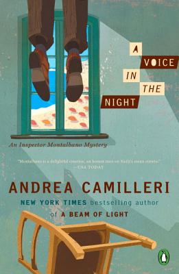 Image for A Voice in the Night