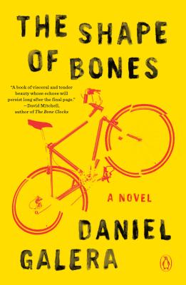 Image for The Shape of Bones: A Novel The Shape of Bones: A Novel