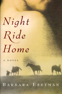 NIGHT RIDE HOME