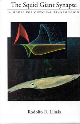 The Squid Giant Synapse: A Model for Chemical Transmission