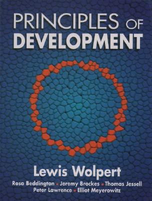 Image for Principles of Development Principles of Development