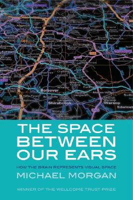 The Space between Our Ears: How the Brain Represents Visual Space