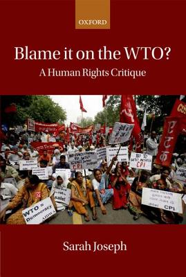 Blame it on the Wto: A Human Rights Critique