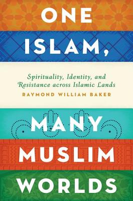 Image for One Islam, Many Muslim Worlds: Spirituality, Identity, and Resistance across Islamic Lands (Religion and Global Politics)