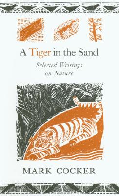 A Tiger in the Sand