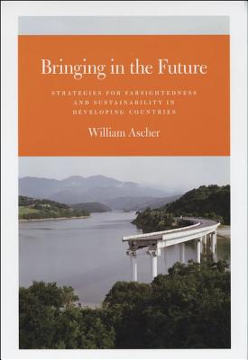 Bringing in the Future: Strategies for Farsightedness and Sustainability in Developing Countries