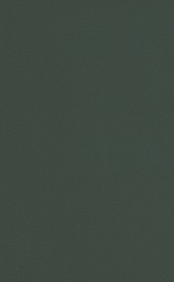 Perspectives in Computation (Chicago Lectures in Physics)