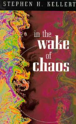 Image for In the Wake of Chaos: Unpredictable Order in Dynamical Systems (Science and Its Conceptual Foundations series)