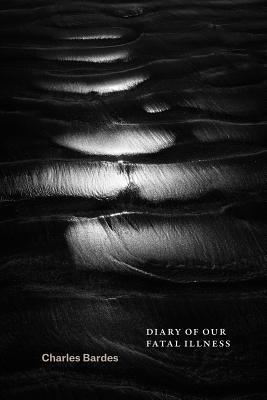 Diary of Our Fatal Illness (Phoenix Poets)