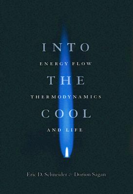 Into the Cool