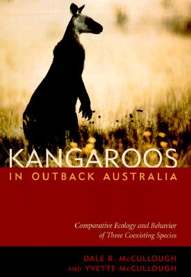 Kangaroos in Outback Australia