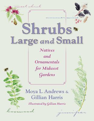 Shrubs Large and Small: Natives and Ornamentals for Midwest Gardens