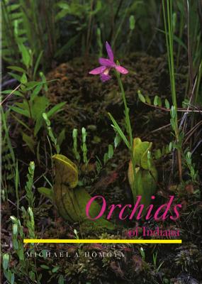 Orchids Of Indiana