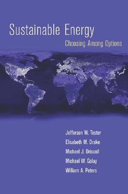 Sustainable Energy: Choosing Among Options