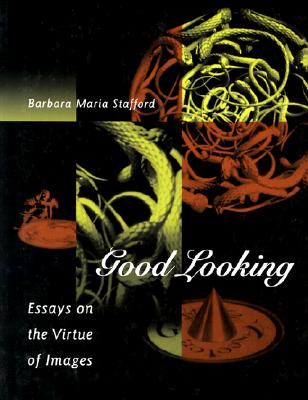 Good Looking: Essays on the Virtue of Images
