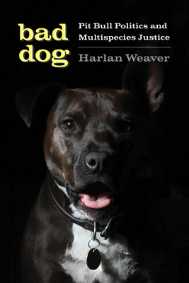 Bad Dog: Pit Bull Politics and Multispecies Justice (Feminist Technosciences)