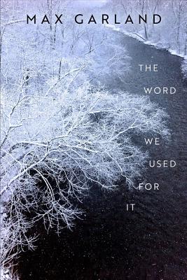 The Word We Used For It (Wisconsin Poetry Series)