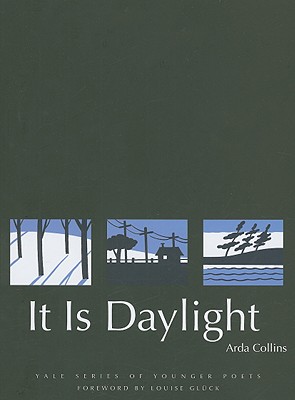 It Is Daylight (Yale Series of Younger Poets)