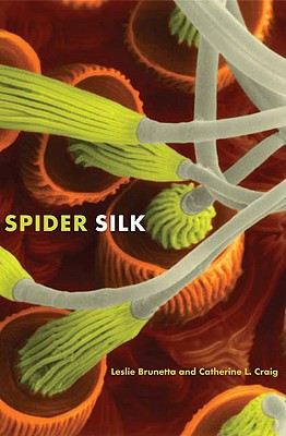 Image for Spider Silk: Evolution and 400 Million Years of Spinning, Waiting, Snagging, and Mating