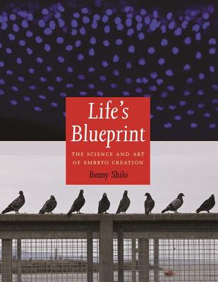 Life's Blueprint: The Science and Art of Embryo Creation