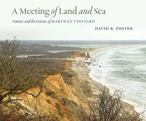 A Meeting of Land and Sea: Nature and the Future of Marthas Vineyard