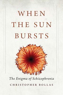 Image for When the Sun Bursts: The Enigma of Schizophrenia