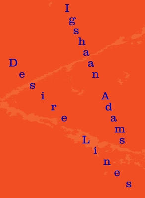Igshaan Adams: Desire Lines