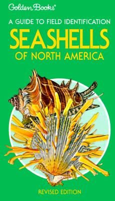 Image for Golden A Guide To Field Identification Seashells Of North America REvised Edition