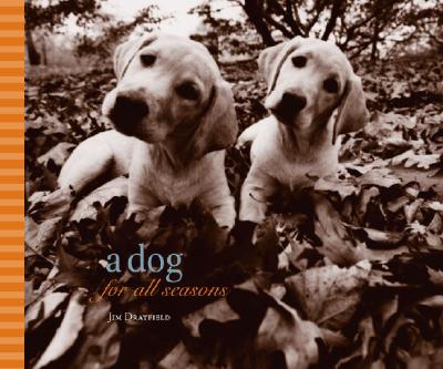 Dog for All Seasons