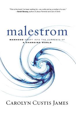 Image for Malestrom: Manhood Swept into the Currents of a Changing World Malestrom: Manhood Swept into the Currents of a Changing World