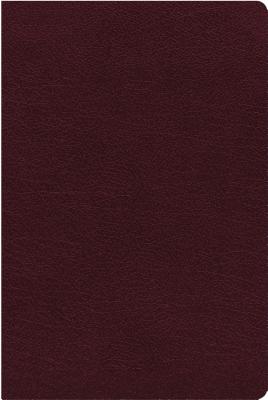Image for NIV, Thinline Reference Bible, Large Print, Bonded Leather, Burgundy, Red Letter, Thumb Indexed, Comfort Print