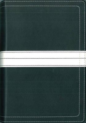 07 Spring Promo Gift Bible 2 - Wal-Mart