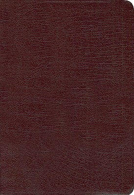 NIV Pocket Thin New Testament with Psalms & Proverbs