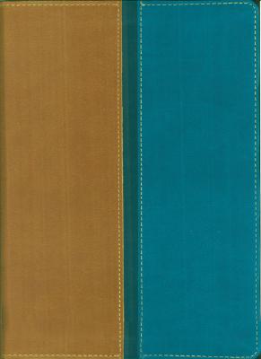 Image for NIV/The Message Parallel Bible: Personal Size (Blue and Tan)