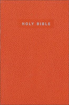 New International Version (NIV) Gift and Award Bible, Orange