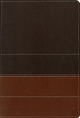 Zondervan NIV Study Bible, Large Print